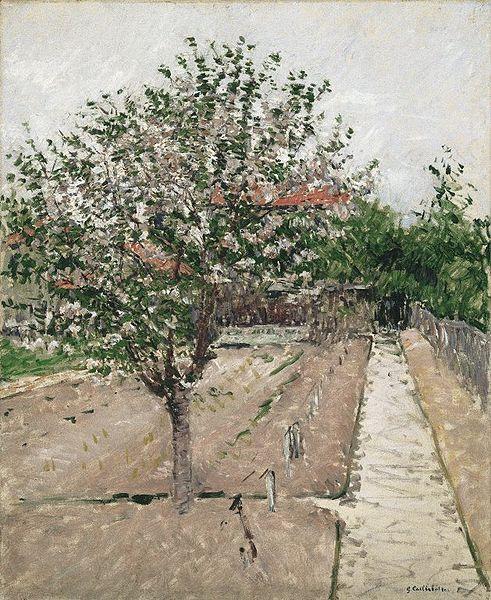 Gustave Caillebotte Apple Tree in Bloom Germany oil painting art